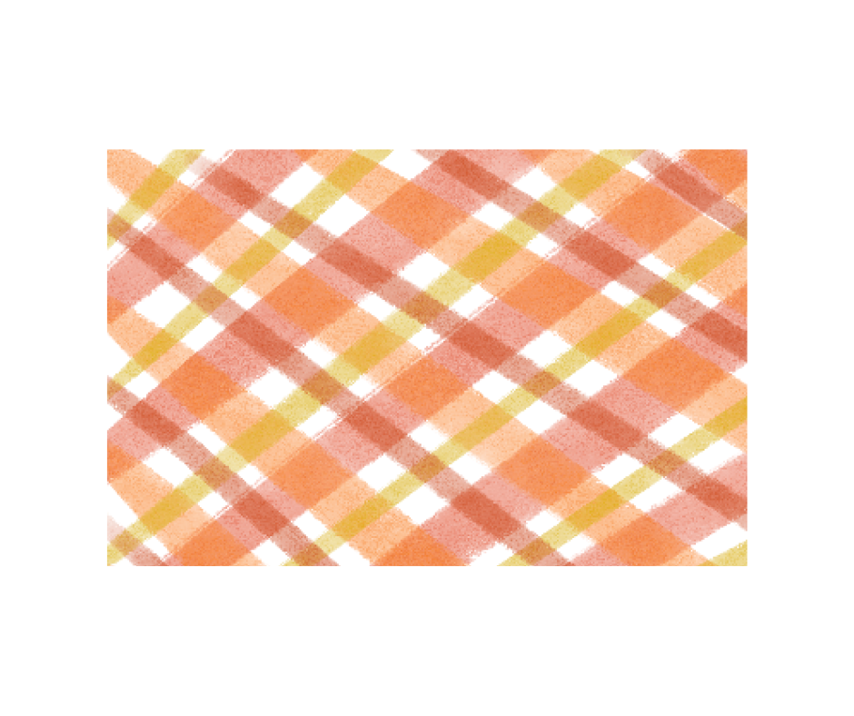 Disposable Placemat Pad - Gingham