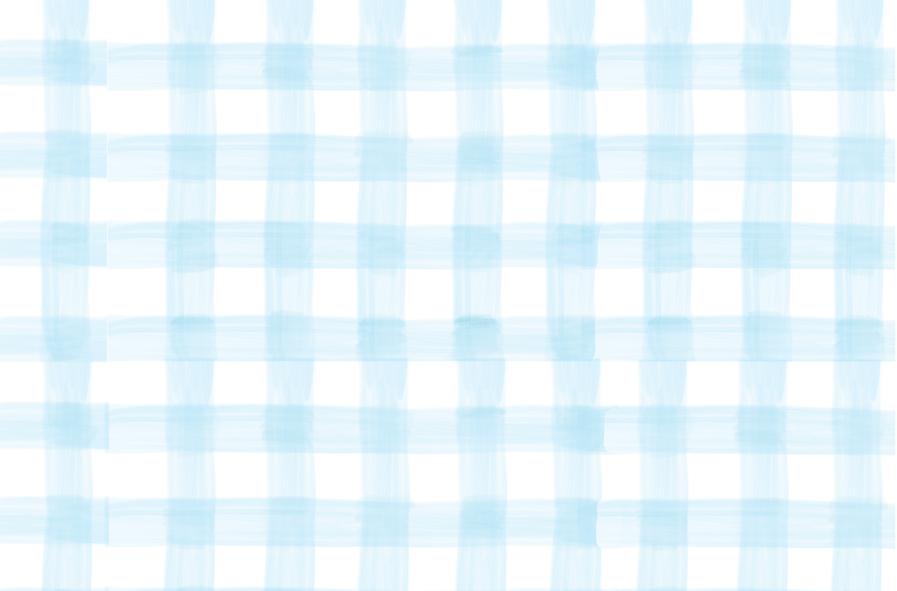 Disposable Placemat Pad - Blue Gingham
